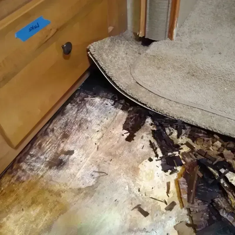 Wood Floor Water Damage in Fruita, CO